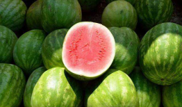 天润吃瓜爆料日常